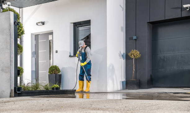 Best Gutter Cleaning  in Ferndale, CA